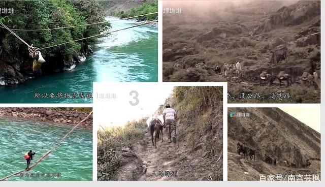恐龙绝地逃生
